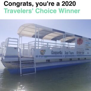 2020 travelers' choice winner
